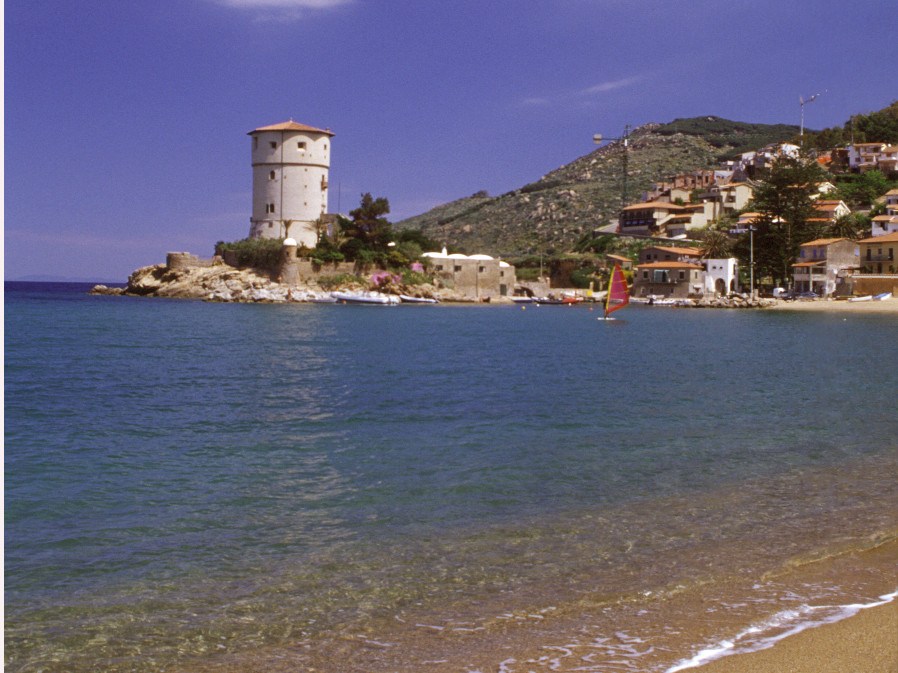 Giglio campese 002